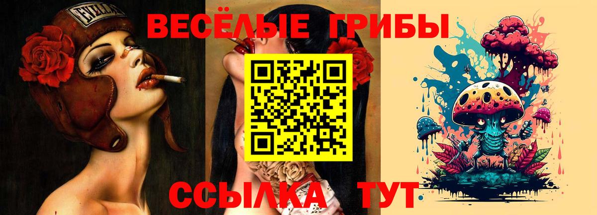 Псилоцибиновые грибы GOLDEN TEACHER  Вход с VPN  Астрахань 